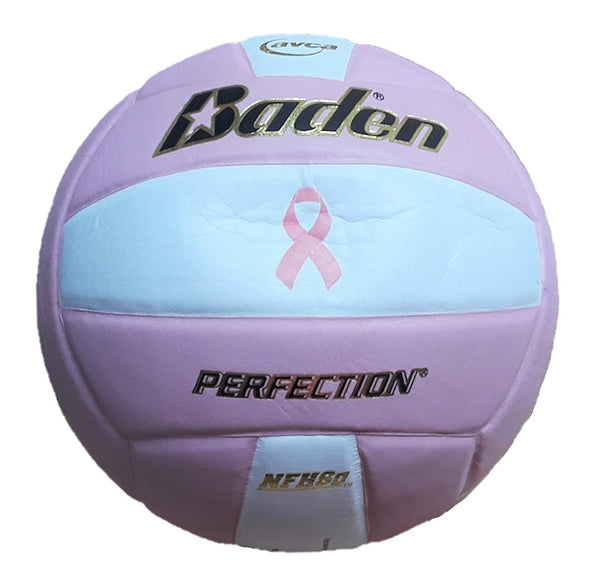 Baden Perfection Leather Volleyball